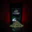 Mexican Tarragon