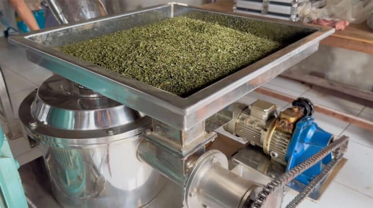 Mleti kratomu